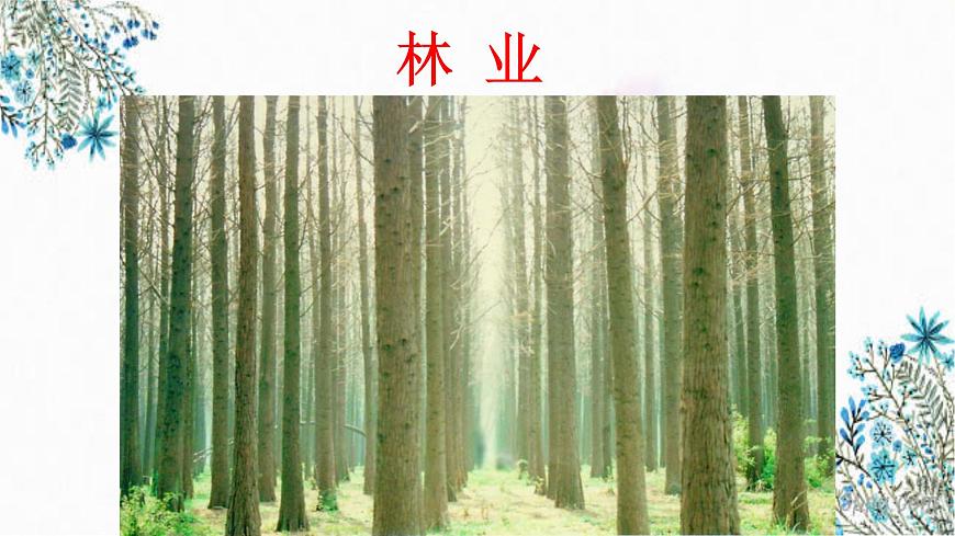 4.1因地制宜發(fā)展農(nóng)業(yè) （課件）- 2022-2023學年八年級上冊同步備課系列（商務星球版）第7頁