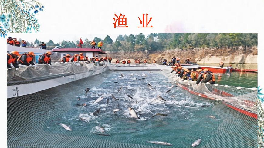 4.1因地制宜發(fā)展農(nóng)業(yè) （課件）- 2022-2023學年八年級上冊同步備課系列（商務星球版）第8頁