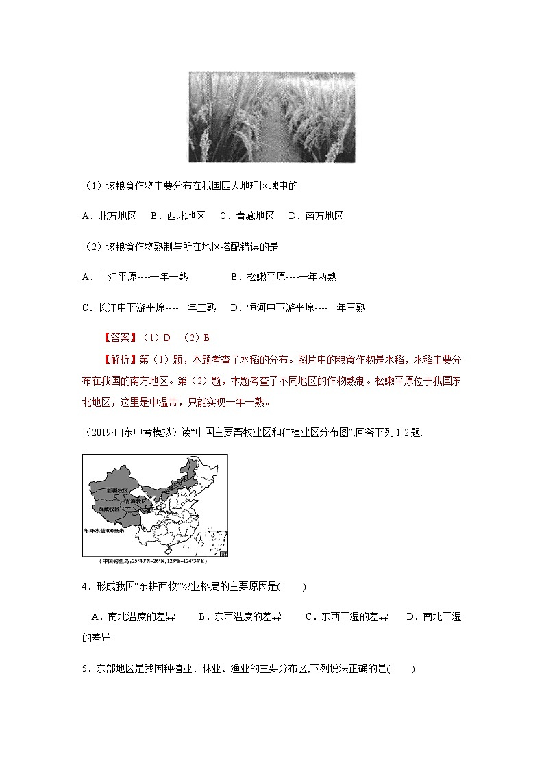 4.1因地制宜發(fā)展農(nóng)業(yè).解析版第3頁