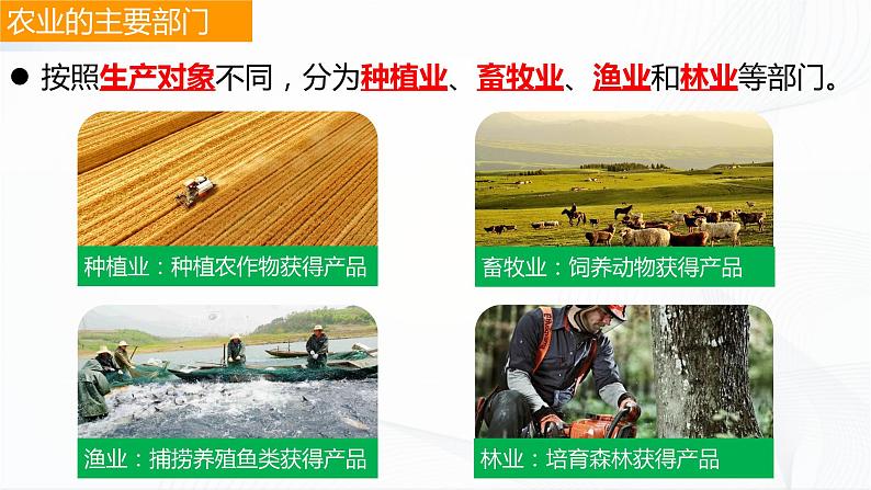 4.1因地制宜发展农业第3页