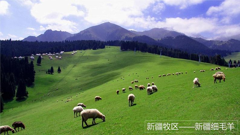 4.1因地制宜发展农业第8页