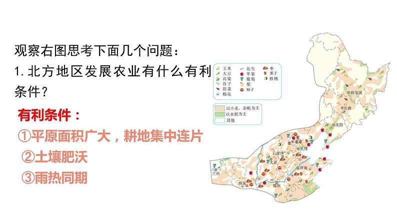 人教版八年级下册第六章北方地区第一节自然特征与农业课件(第二课时)第7页