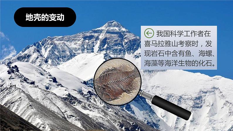 2.2海陆的变迁-2022-2023学年七年级地理上册同步备课系列(人教版) 课件练习08