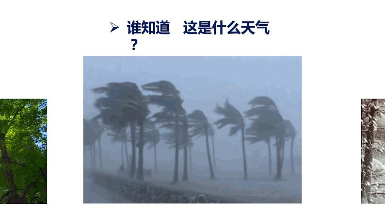 3.1多变的天气(课件)-2022-2023学年七年级地理上册同步备课系列(人教版)第5页