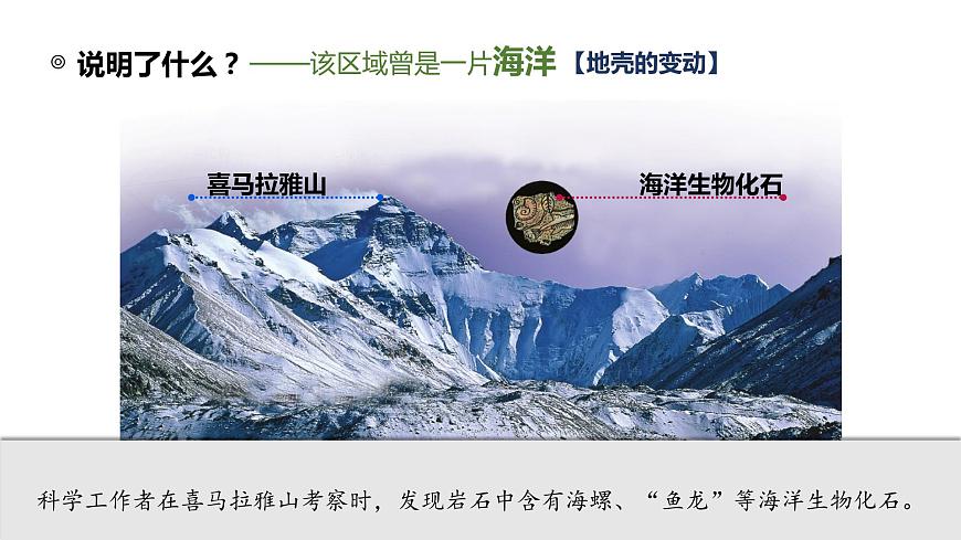 2.2海陸的變遷-2022-2023學(xué)年七年級上冊同步優(yōu)質(zhì)課件（人教版）第7頁