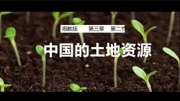 3.2中国的土地资源（课件）-2022-2023学年湘教版八年级地理上册同步备课系列