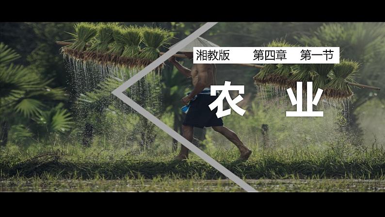 4.1农业(课件)-2022-2023学年湘教版八年级地理上册同步备课系列01