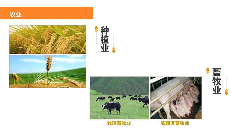 4.1农业(课件)-2022-2023学年湘教版八年级地理上册同步备课系列06