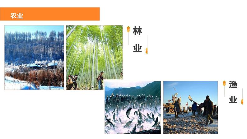4.1农业(课件)-2022-2023学年湘教版八年级地理上册同步备课系列07