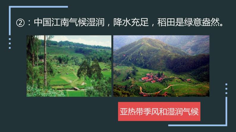 2.2.1 世界的气候类型（课件）-2022-2023学年八年级地理上册同步备课系列（中图版）08