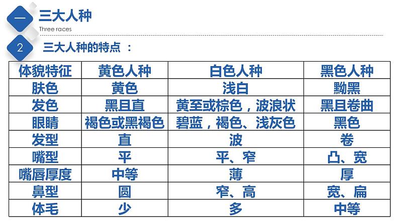 3.1 人种和人口(精品课件)-2022-2023学年八年级地理上册同步备课系列(中图版)04