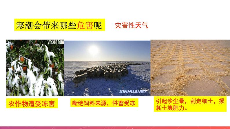 2.2中国的气候(第3课时)(精品课件)-2022-2023学年八年级上册同步备课系列(湘教版)08