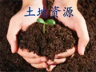 3.2中国的土地资源（精品课件）-2022-2023学年八年级上册同步备课系列（湘教版）