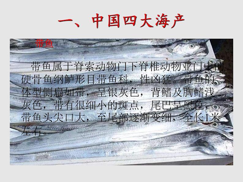 3.4中国的海洋资源(精品课件)-2022-2023学年八年级上册同步备课系列(湘教版)06