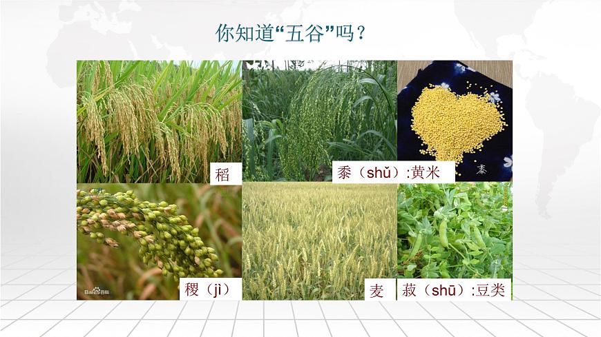 粵教版八上地理 4.1 農(nóng)業(yè)  PPT課件第4頁