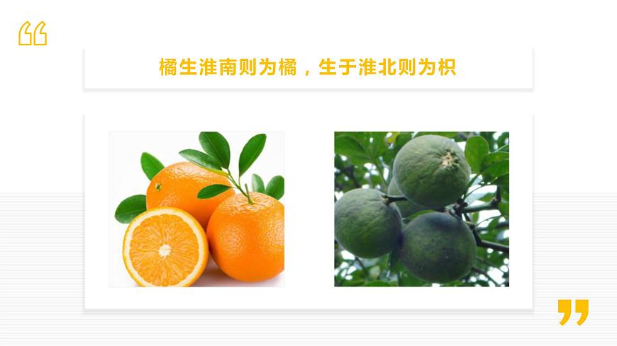 2.3 氣候與人類生活(課件)-2022-2023學(xué)年八年級(jí)上學(xué)期同步課堂(中圖版)第5頁