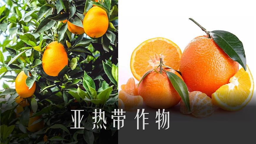 2.3 氣候與人類生活(課件)-2022-2023學(xué)年八年級(jí)上學(xué)期同步課堂(中圖版)第7頁