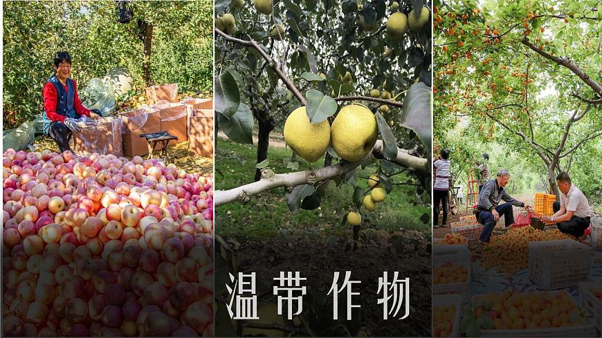 2.3 氣候與人類生活(課件)-2022-2023學(xué)年八年級(jí)上學(xué)期同步課堂(中圖版)第8頁