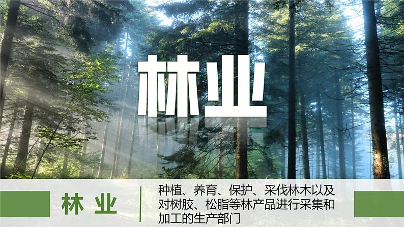 4.2农业(第1课时)(课件)-2022-2023学年八年级地理上册同步备课系列(人教版)07