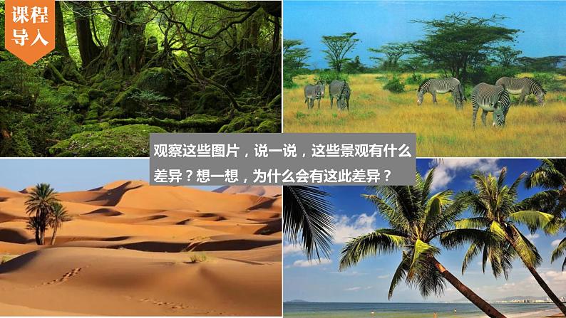 4.4 世界主要气候类型 第1课时 ( 精品课件)-2022-2023学年七年级上学期同步课堂(湘教版)06