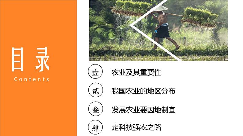 4.2农业-2022-2023学年八年级上学期同步精品课件(人教版)第3页