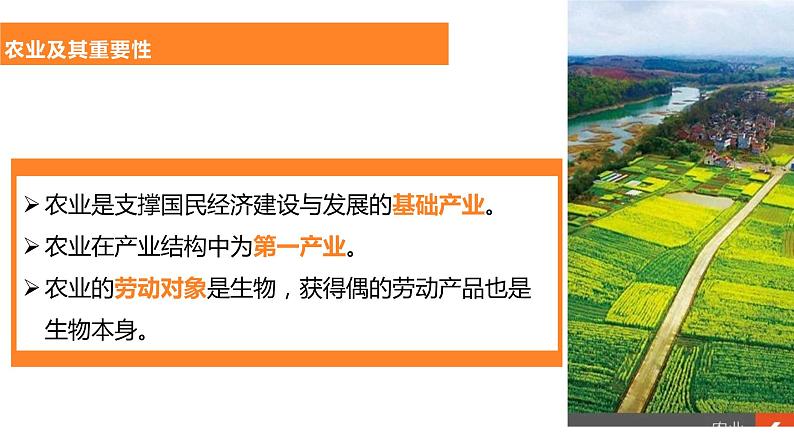 4.2农业-2022-2023学年八年级上学期同步精品课件(人教版)第7页