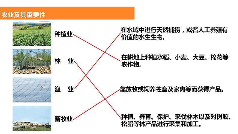 4.2农业-2022-2023学年八年级上学期同步精品课件(人教版)第8页
