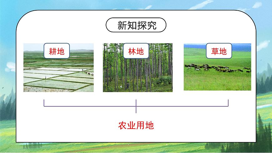 3.2《土地資源》課件PPT第8頁