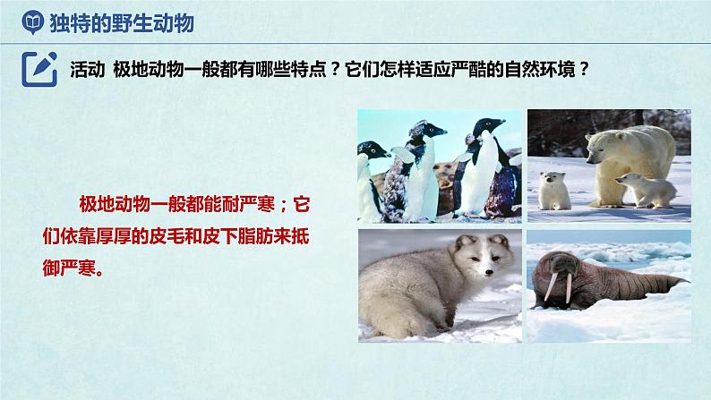7.5北极地区和南极地区(第2课时)(课件)-2022-2023学年七年级地理下册同步优质备课包课件+教案+练习(湘教版)06