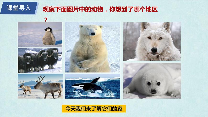 7.5北極地區(qū)和南極地區(qū)(第1課時)(課件)-2022-2023學(xué)年七年級地理下冊同步優(yōu)質(zhì)備課包課件+教案+練習(xí)(湘教版)第2頁