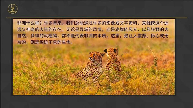 6.2 非洲(课件)-2022-2023学年七年级地理下册同步备课系列(湘教版)第3页