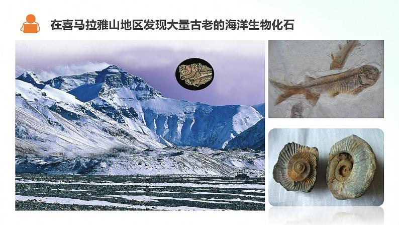 湘教版地理七年级上册 2.4 海陆变迁 课件+同步练习05