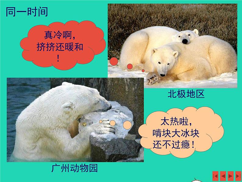 七年级地理上册第四章世界的气候第二节气温和降水课件新版湘教版第3页