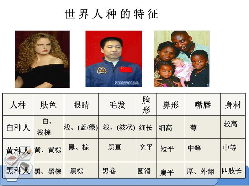 商务星球版地理七年级上第五章《世界的人种、语言和宗教》合作探究课件(第1课时)第6页