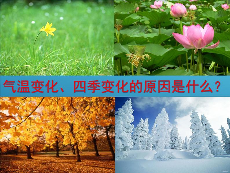 商务星球版地理七年级上第一章《太阳光直射、斜射对地面获取热量的影响》参考课件2第2页