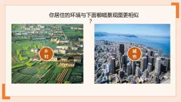 4.3人类的聚居地—聚落 课件 初中地理鲁教版（五四学制）六年级上册