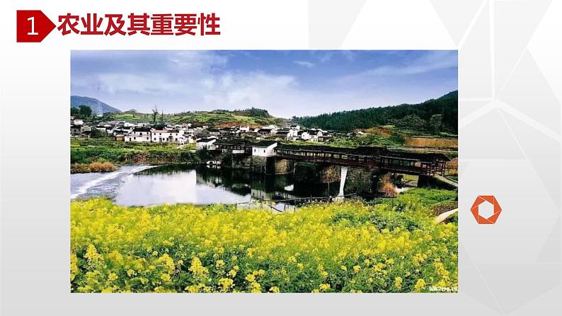 专题4.2 农业(同步课件)初中地理(鲁教版五四学制)七年级上册 (共51张PPT)03