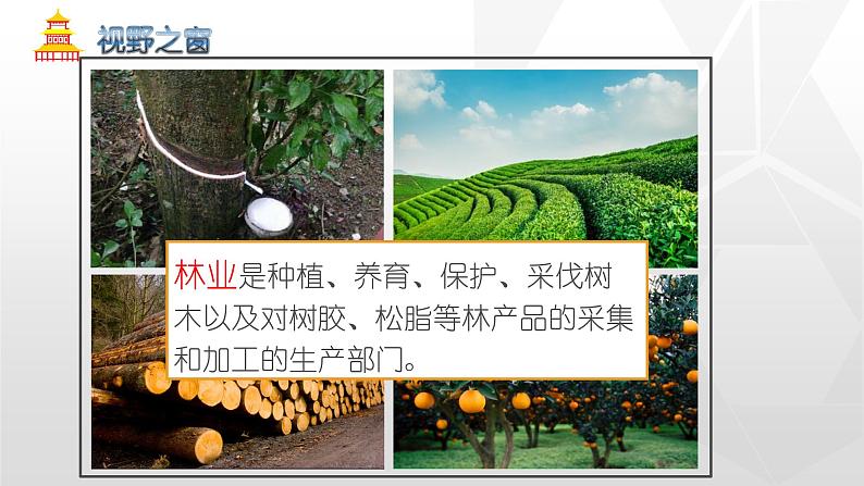 专题4.2 农业(同步课件)初中地理(鲁教版五四学制)七年级上册 (共51张PPT)06