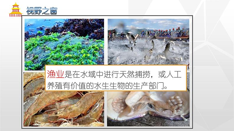 专题4.2 农业(同步课件)初中地理(鲁教版五四学制)七年级上册 (共51张PPT)07