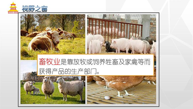 专题4.2 农业(同步课件)初中地理(鲁教版五四学制)七年级上册 (共51张PPT)08