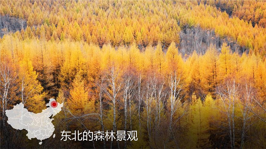 2.2 氣候類(lèi)型多樣 季風(fēng)氣候顯著(第2課時(shí)) 精品課件 初中地理仁愛(ài)版八年級(jí)上冊(cè)第6頁(yè)