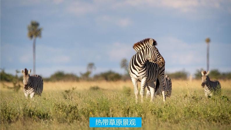 4.4世界主要气候类型 同步课件 初中地理湘教版七年级上册03