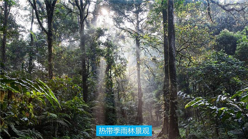 4.4世界主要气候类型 同步课件 初中地理湘教版七年级上册05