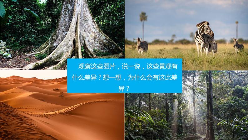 4.4世界主要气候类型 同步课件 初中地理湘教版七年级上册06