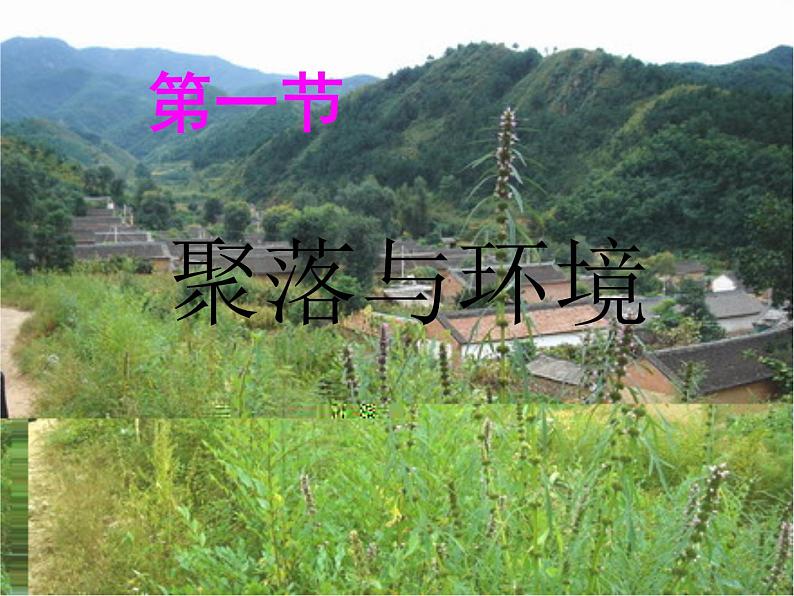 晋教版地理七年级上册 6.1 聚落与环境 课件第1页