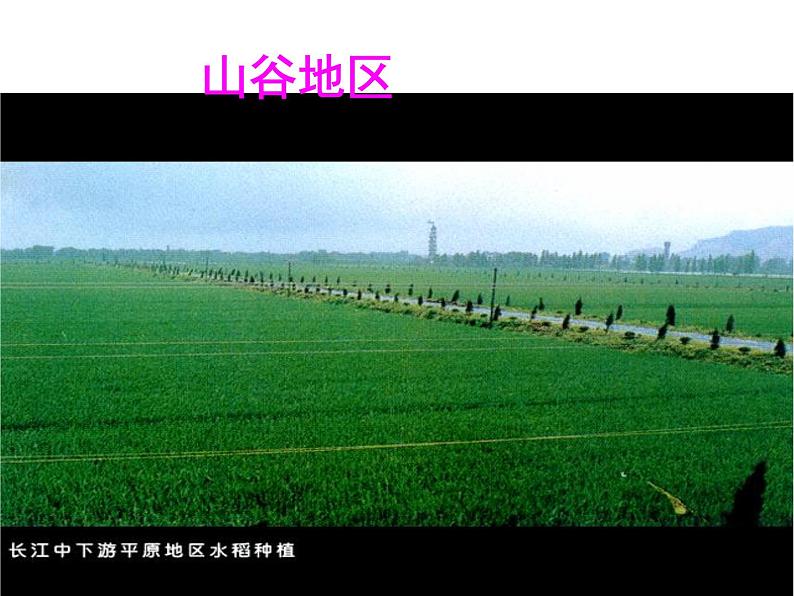 晋教版地理七年级上册 6.1 聚落与环境 课件第2页