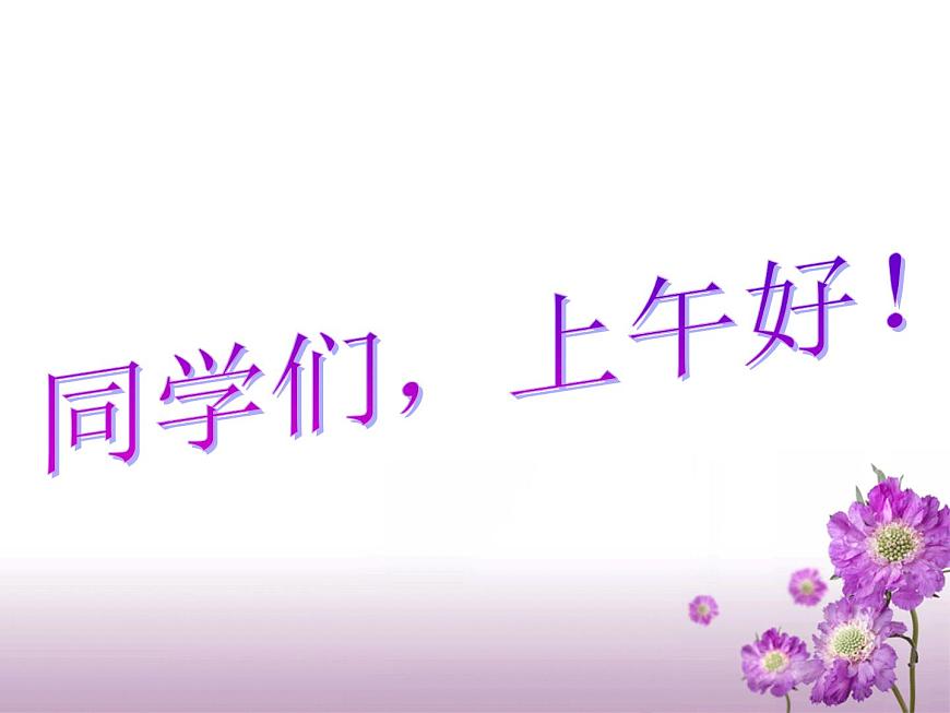 3.1 人種與人口課件第1頁