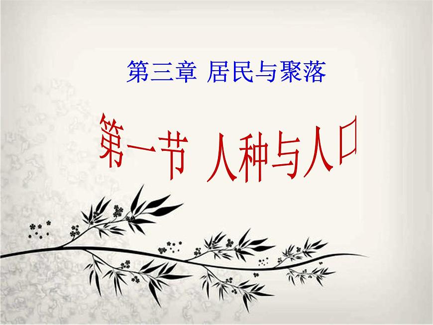 3.1 人種與人口課件第2頁