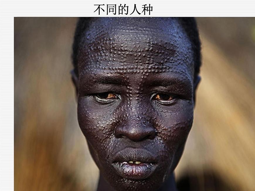 3.1 人種與人口課件第5頁
