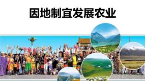 商务星球版八年级上册第一节 	因地制宜发展农业教学演示ppt课件